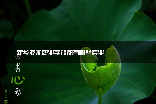 新乡技术职业学校都有哪些专业