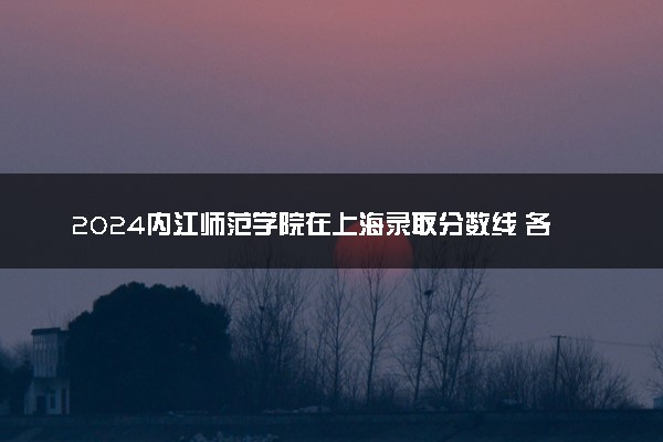 2024内江师范学院在上海录取分数线 各专业分数及位次