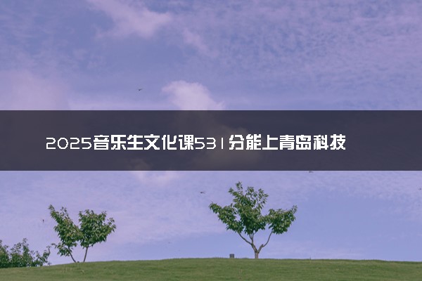 2025音乐生文化课531分能上青岛科技大学吗