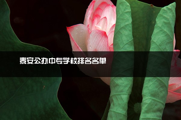 泰安公办中专学校排名名单