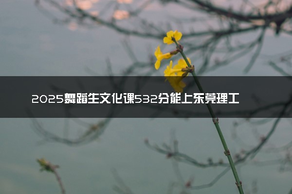 2025舞蹈生文化课532分能上东莞理工学院吗