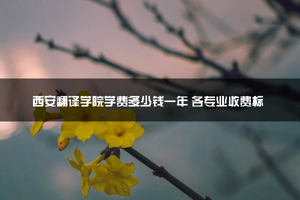 西安翻译学院学费多少钱一年 各专业收费标准（2025年参考）