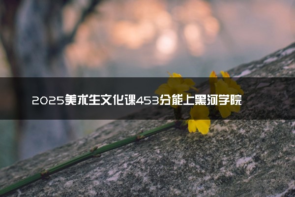 2025美术生文化课453分能上黑河学院吗