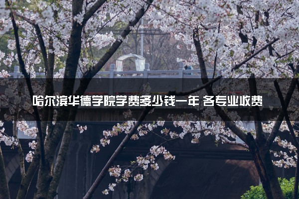 哈尔滨华德学院学费多少钱一年 各专业收费标准（2025年参考）