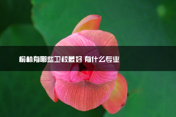 榆林有哪些卫校最好 有什么专业