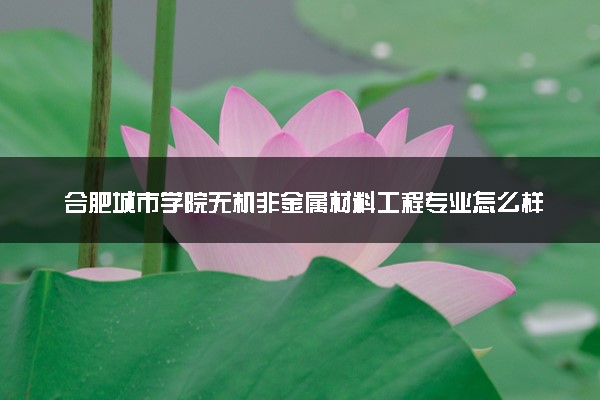 合肥城市学院无机非金属材料工程专业怎么样 录取分数线多少
