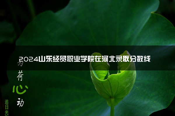 2024山东经贸职业学院在河北录取分数线 各专业分数及位次