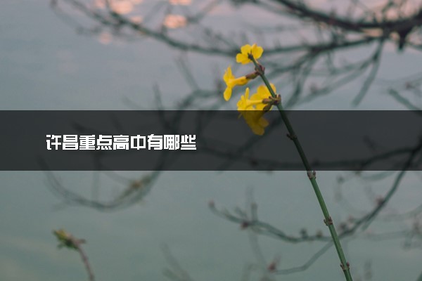 许昌重点高中有哪些
