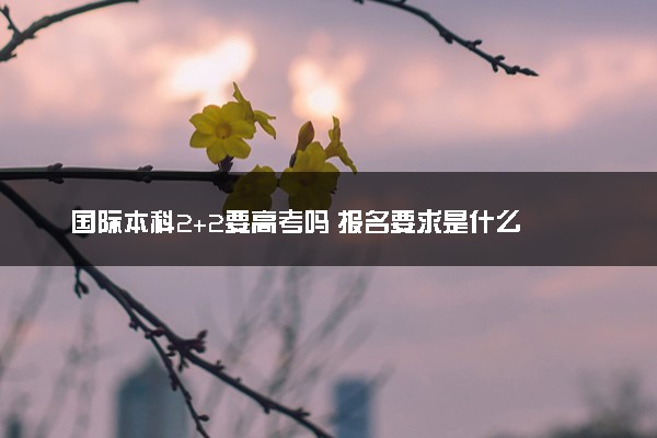 国际本科2+2要高考吗 报名要求是什么