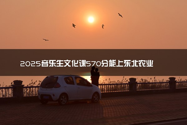 2025音乐生文化课570分能上东北农业大学吗