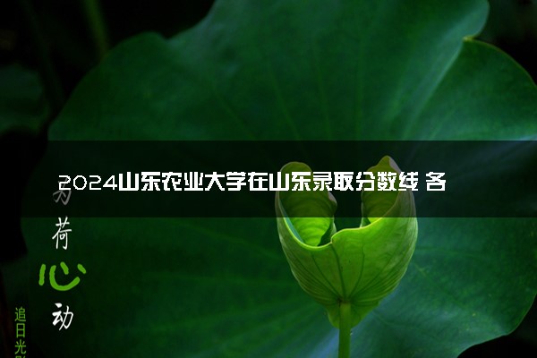 2024山东农业大学在山东录取分数线 各专业分数及位次