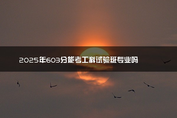 2025年603分能考工科试验班专业吗 603分工科试验班专业大学推荐