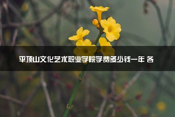 平顶山文化艺术职业学院学费多少钱一年 各专业收费标准（2025年参考）