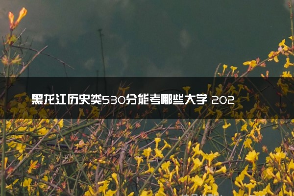 黑龙江历史类530分能考哪些大学 2025考生稳上的大学名单