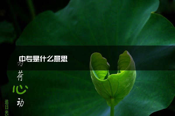 中专是什么意思