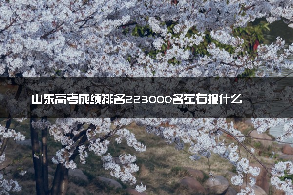 山东高考成绩排名223000名左右报什么大学好（2025年参考）