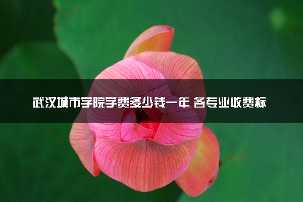 武汉城市学院学费多少钱一年 各专业收费标准（2025年参考）