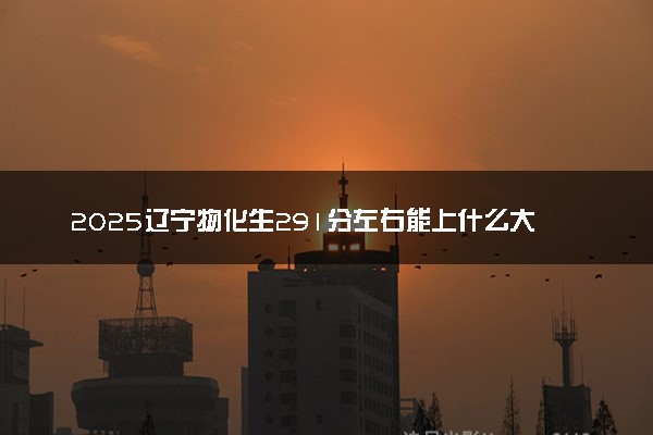 2025辽宁物化生291分左右能上什么大学 可以报考的院校名单