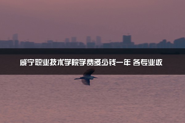咸宁职业技术学院学费多少钱一年 各专业收费标准（2025年参考）