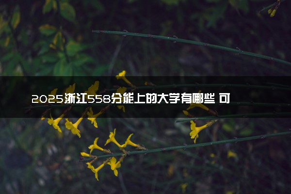 2025浙江558分能上的大学有哪些 可以报考院校名单