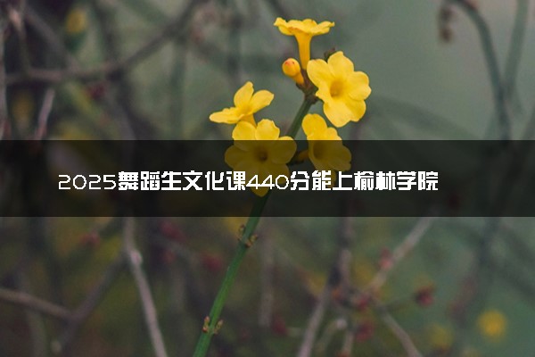 2025舞蹈生文化课440分能上榆林学院吗