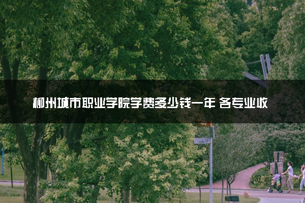 柳州城市职业学院学费多少钱一年 各专业收费标准（2025年参考）