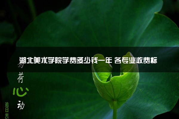 湖北美术学院学费多少钱一年 各专业收费标准（2025年参考）