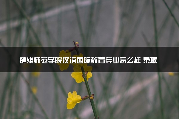 楚雄师范学院汉语国际教育专业怎么样 录取分数线多少