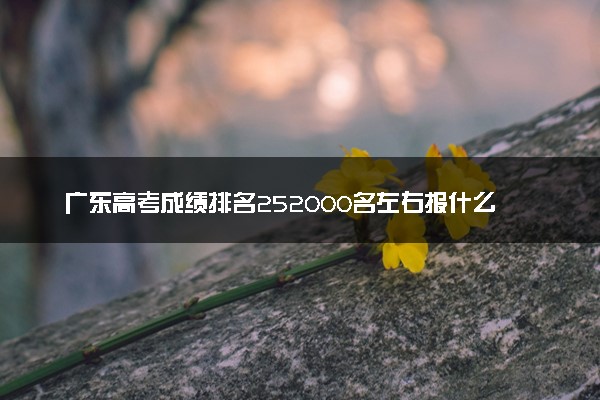 广东高考成绩排名252000名左右报什么大学好（2025年参考）