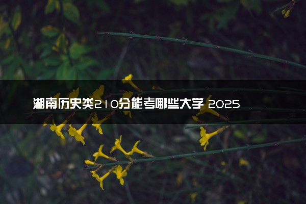 湖南历史类210分能考哪些大学 2025考生稳上的大学名单