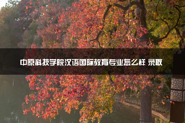 中原科技学院汉语国际教育专业怎么样 录取分数线多少