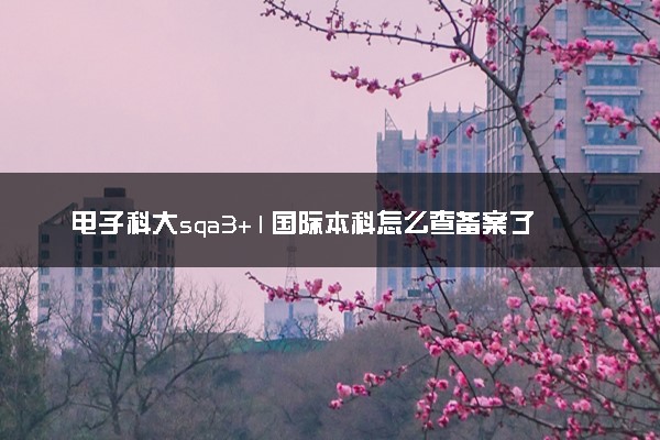 电子科大sqa3+1国际本科怎么查备案了吗 方法是什么