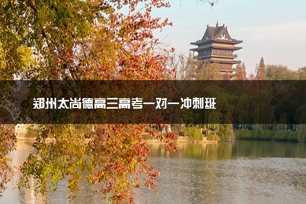 郑州太尚德高三高考一对一冲刺班