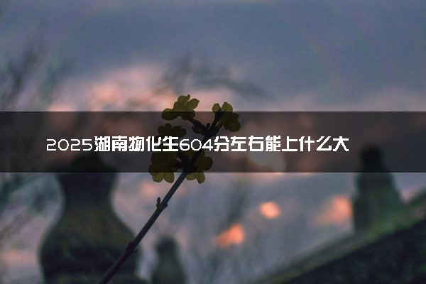 2025湖南物化生604分左右能上什么大学 可以报考的院校名单