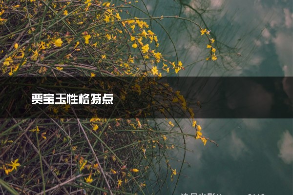 贾宝玉性格特点