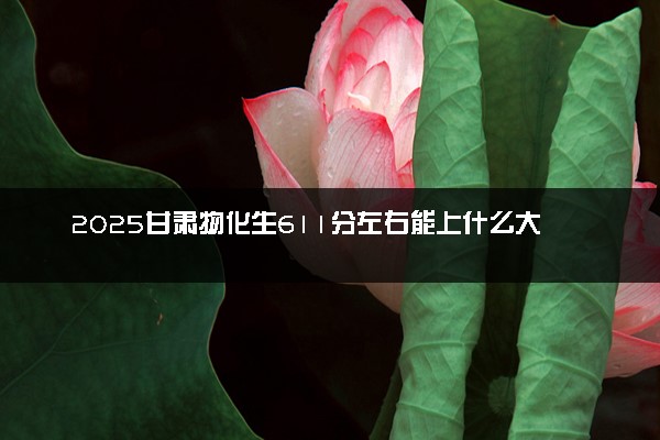 2025甘肃物化生611分左右能上什么大学 可以报考的院校名单