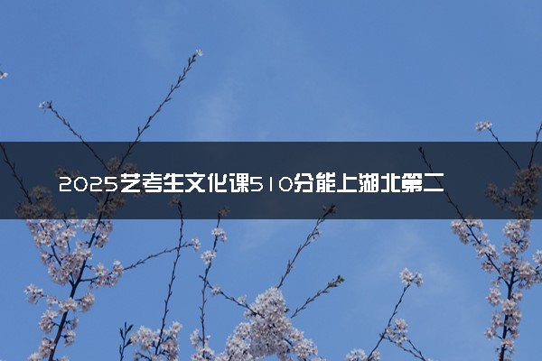2025艺考生文化课510分能上湖北第二师范学院吗