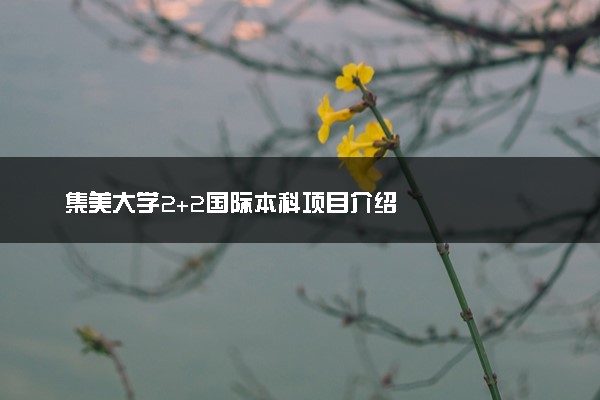 集美大学2+2国际本科项目介绍