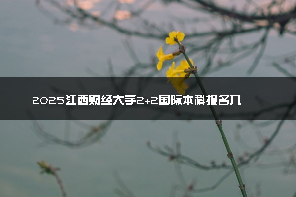 2025江西财经大学2+2国际本科报名入口 怎么报考