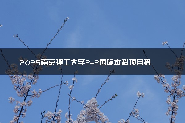 2025南京理工大学2+2国际本科项目招生简章