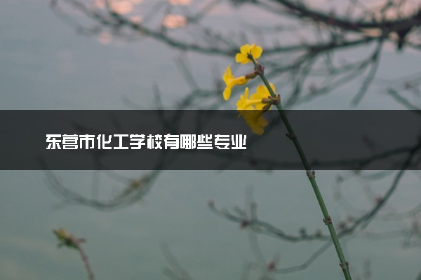 东营市化工学校有哪些专业