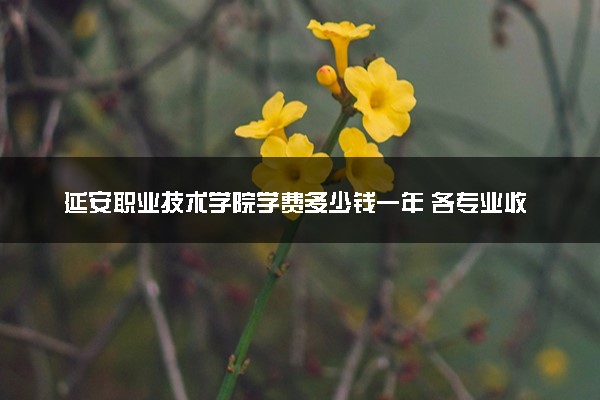 延安职业技术学院学费多少钱一年 各专业收费标准（2025年参考）