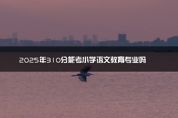 2025年310分能考小学语文教育专业吗 310分小学语文教育专业大学推荐
