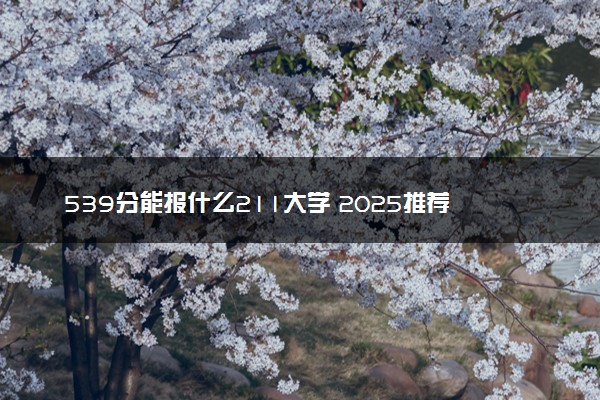 539分能报什么211大学 2025推荐院校
