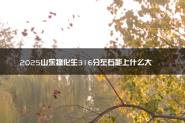 2025山东物化生316分左右能上什么大学 可以报考的院校名单