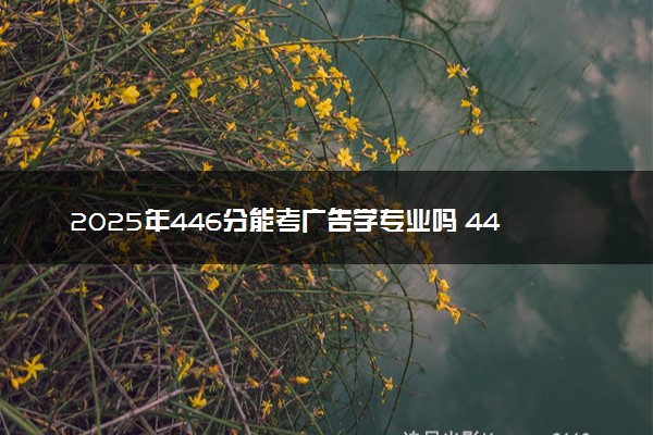 2025年446分能考广告学专业吗 446分广告学专业大学推荐