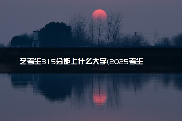 艺考生315分能上什么大学（2025考生参考）