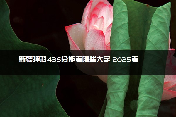 新疆理科436分能考哪些大学 2025考生稳上的大学名单