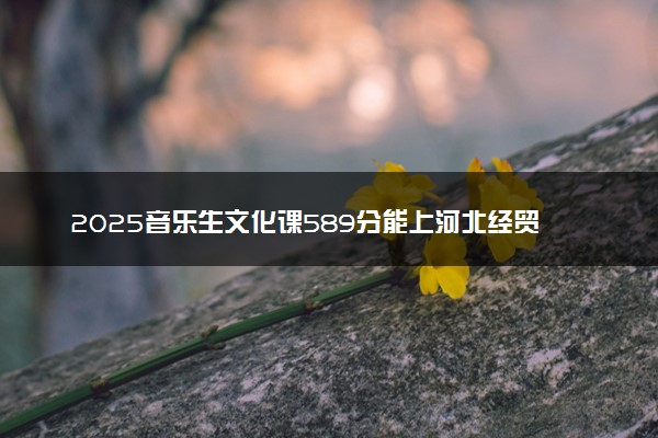 2025音乐生文化课589分能上河北经贸大学吗