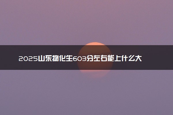 2025山东物化生603分左右能上什么大学 可以报考的院校名单